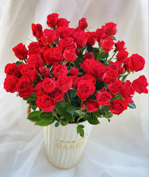 Neon Bubbles Rose Plant丨Your roses