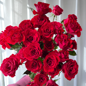 Rose Neon Bubbles丨Your roses