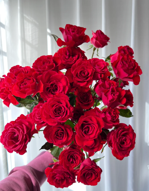 Rose Neon Bubbles丨Your roses