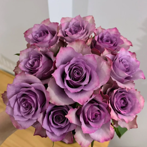 Nightingale Rose丨Your roses