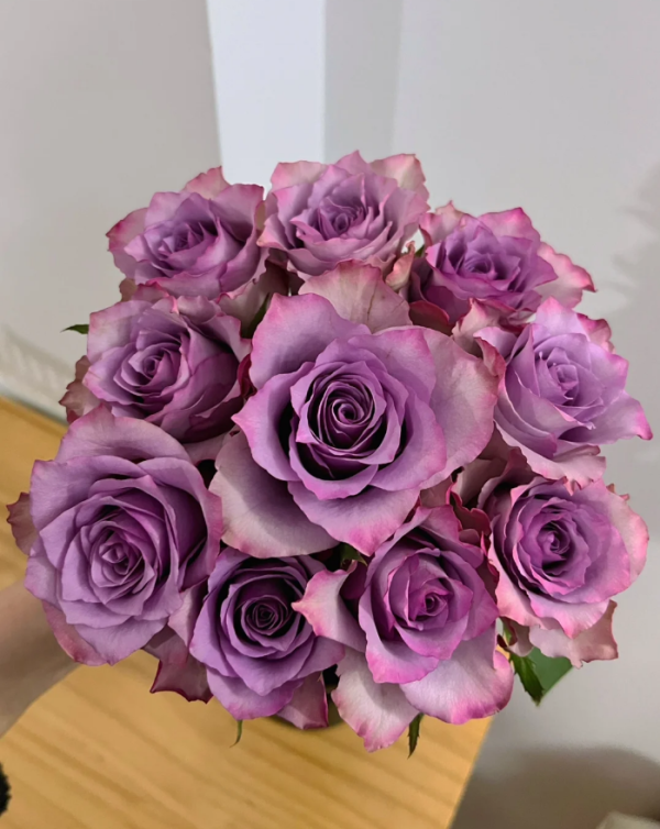 Nightingale Rose丨Your roses