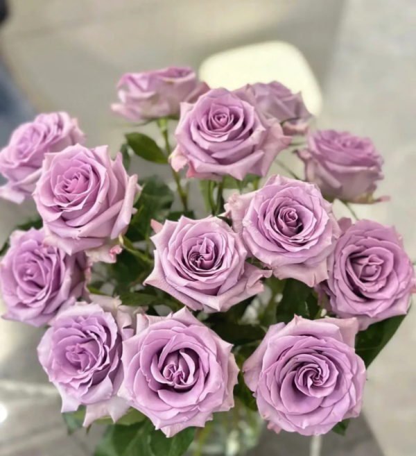 Nightingale Roses丨Your roses