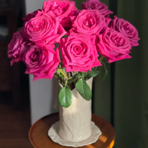 Pink Floyd Rose丨Your roses