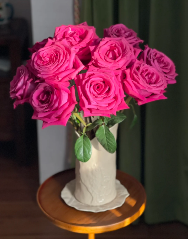 Pink Floyd Rose丨Your roses
