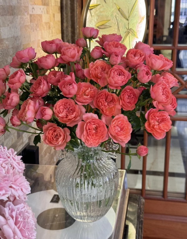 Red JuicyTerrazza Roses丨Your roses