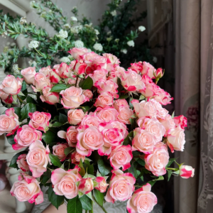 Reflex Rose丨Your roses
