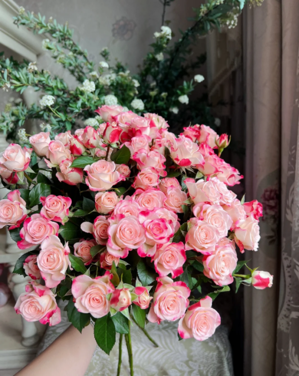Reflex Rose丨Your roses
