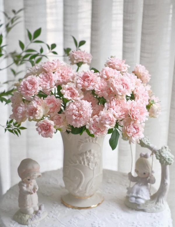 Sofine Rose for sale丨Your roses