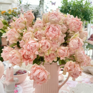 Sofine Rose丨Your roses