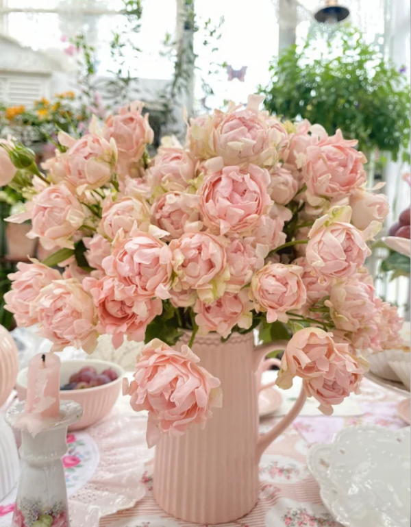 Sofine Rose丨Your roses