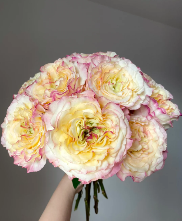 Stylist Roses丨Your roses