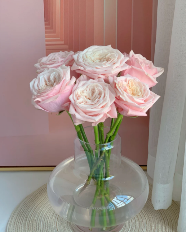 Supless Rose for sale丨Your roses