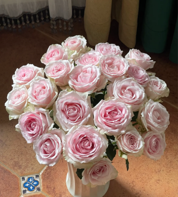 Sweet Avalanche Rose丨Your roses