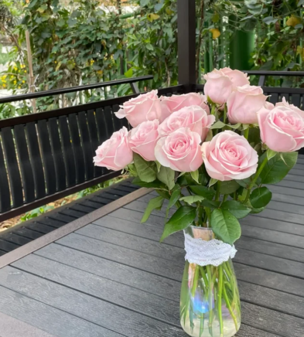 Pink Avalanche Roses丨Your roses