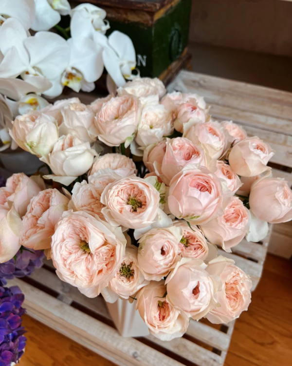 Sweet Diamond Roses丨Your roses