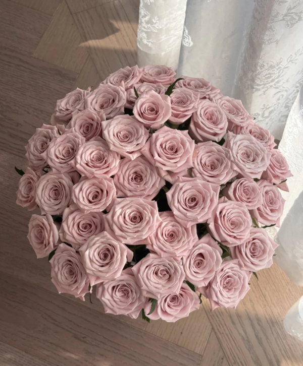 Sweet Menta Rose for sale丨Your roses