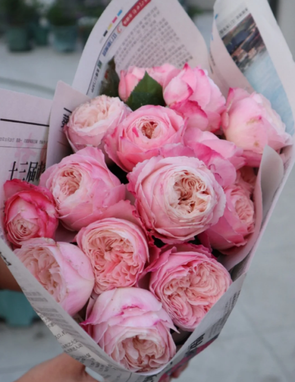 Tamaki Misora Roses丨Your roses