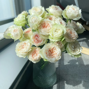 Victoria Bride Rose丨Your roses