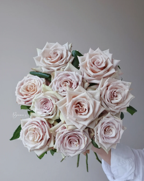 Wild Moss Rose 丨Your roses