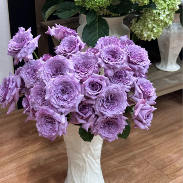 Windy Night Rose丨Your roses
