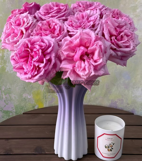 Aromatique Rose丨Your roses