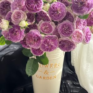 Blue Moon Stone Rose丨Your roses