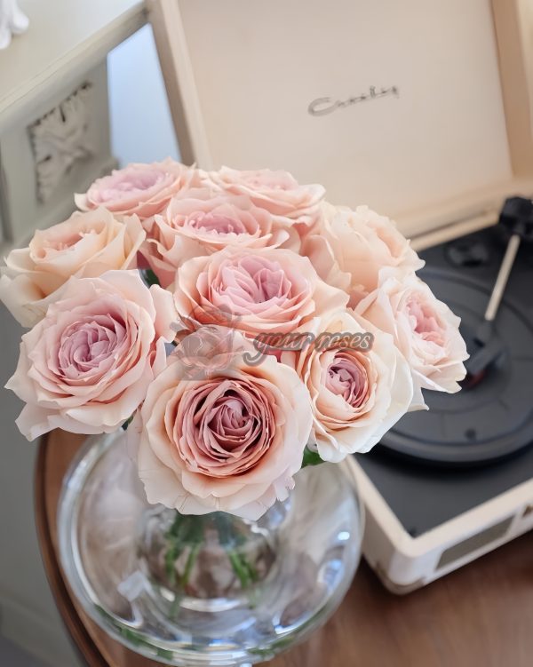 Brut Rose 丨Your roses
