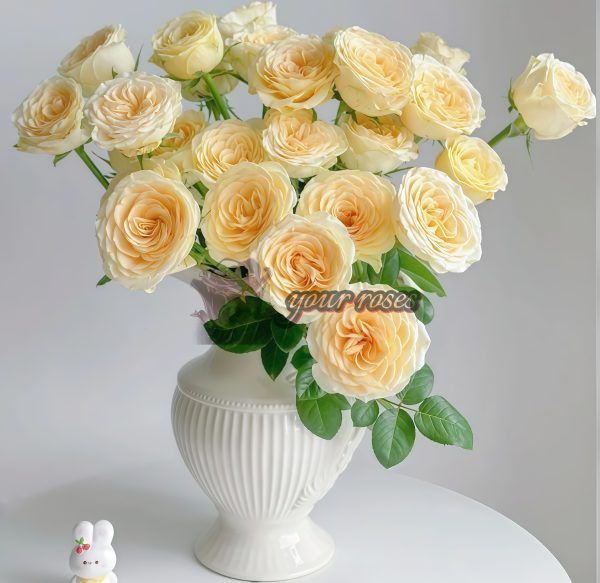 Butter Cup Rose丨Your roses