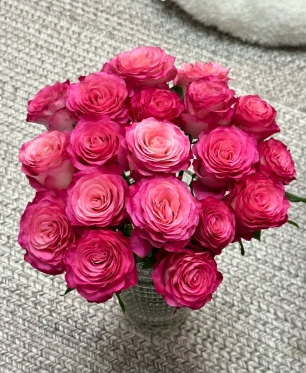 Carmen Rose丨Your roses