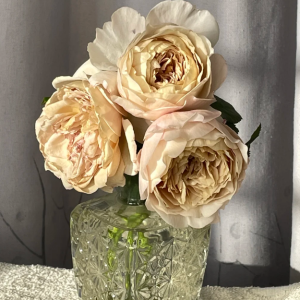 Charlotte Perriand Rose for sale丨Your roses