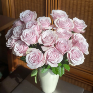 Cosette Rose丨Your roses
