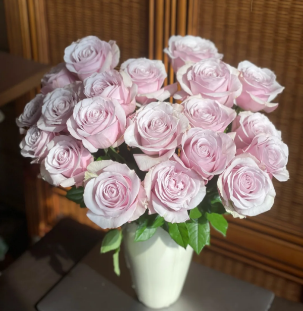 Cosette Rose丨Your roses