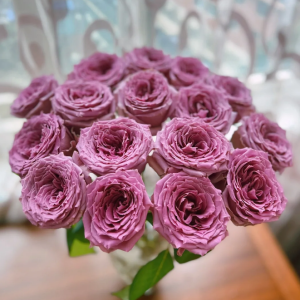 Country Spirit Song Rose丨Your roses