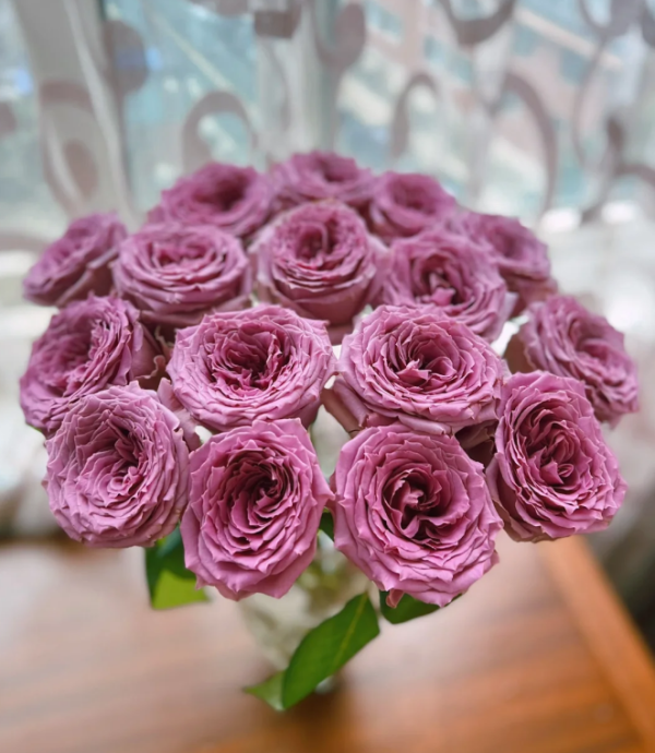 Country Spirit Song Rose丨Your roses