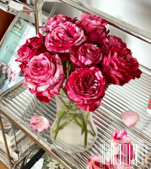 Frou Frou Rose丨Your roses