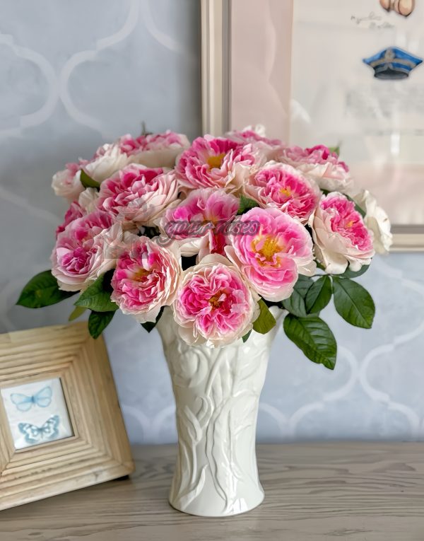 Holiday Island Guernsey Rose丨Your roses