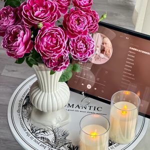 Japanese Mary Rose丨Your roses