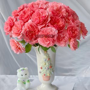 Kaori Kazari Rose丨Your roses