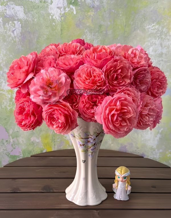 Kaori Kazari Rose丨Your roses