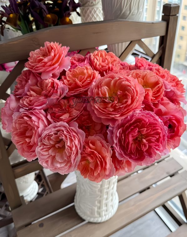 Kaori Kazari Rose丨Your roses