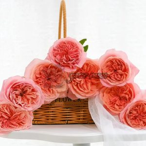 London Eye Rose丨Your roses