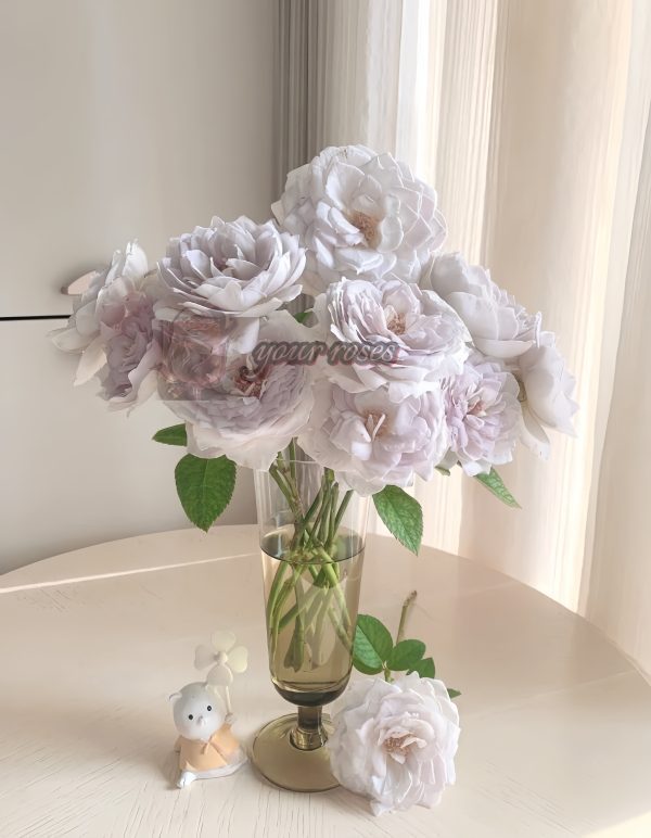 Milk pearl Rose丨Your roses