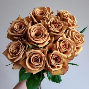 Mokarosa Rose丨Your roses
