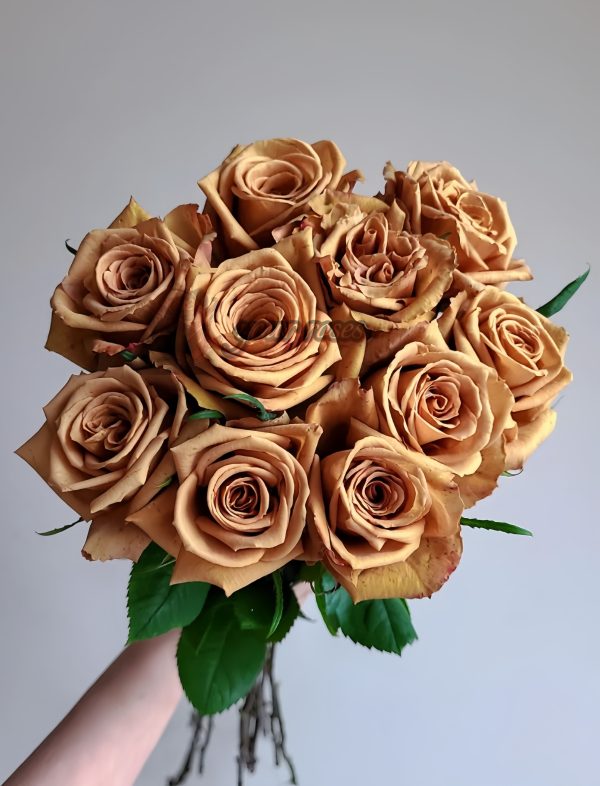 Mokarosa Rose丨Your roses