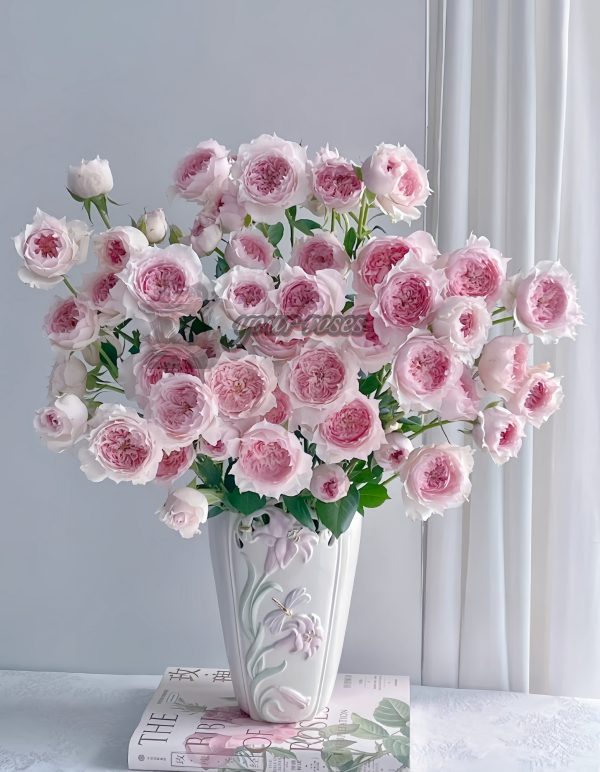Monique Darve Rose丨Your roses
