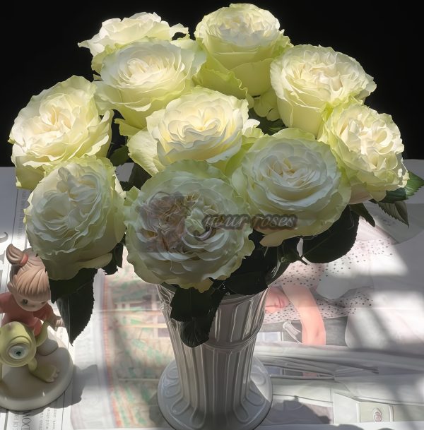 Moonstone Rose Cadillac DeVille Rose WEKcryland Rose for sale丨Your roses