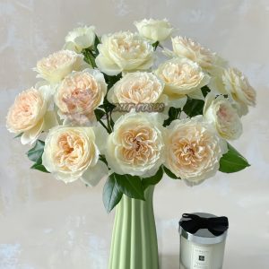 Opera queen Rose丨Your roses