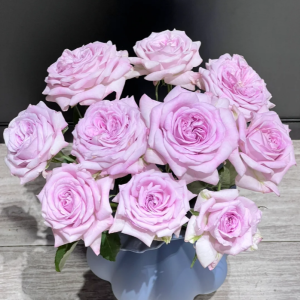 Patchouli Rose丨Your roses