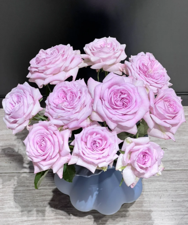 Patchouli Rose丨Your roses