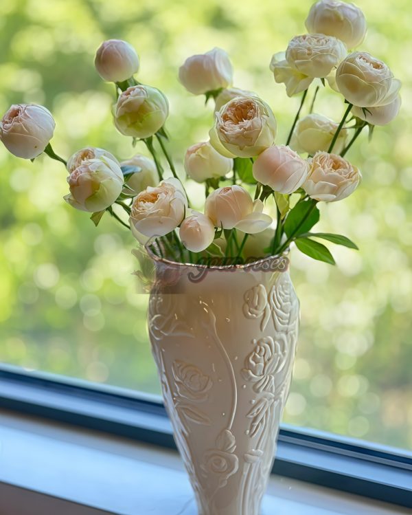 Pinky Pie Rose plant丨Your roses